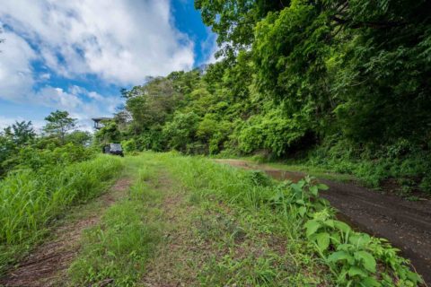 Budget friendly Costa Rica land for sale with Nest Properties